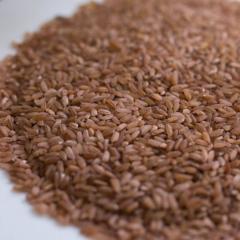 Чем отличается длиннозерный рис от круглозерного