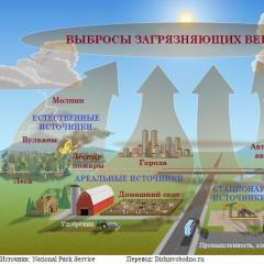 Глобальные экологические проблемы