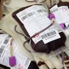 Aké sú platby darcov krvi