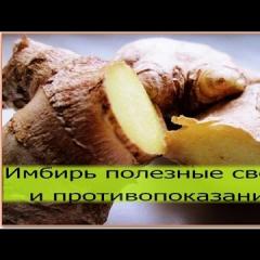 Ginger: benefits and harms, beneficial properties and features of use