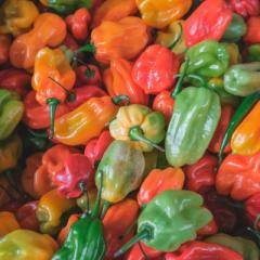 What vitamins are contained in bell peppers and how are they beneficial?
